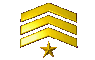Brigadier General, 1 Star